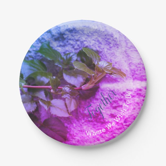 Round Colourful Stylish Paper Plate (Front)