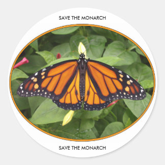 Round Glossy Stickers,Monarch Style #4a Classic Round Sticker