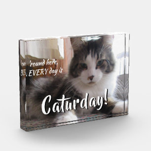 Round Here Every Day is Caturday Cute Cat Template Photo Block