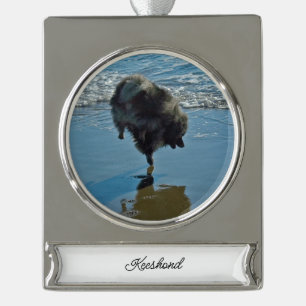 round-large silver plated banner ornament