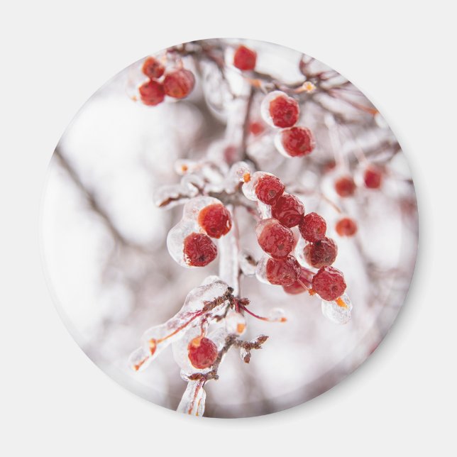 Round Magnet (Front)