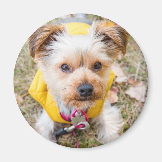 Round Magnet (Front)