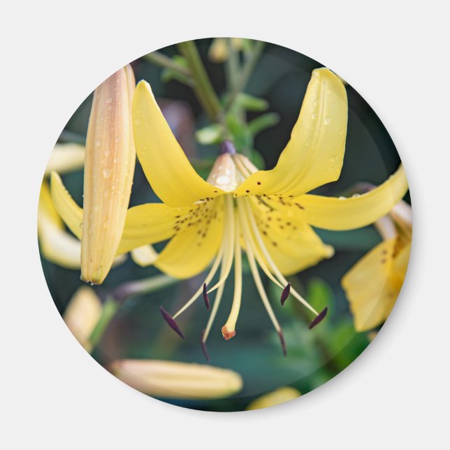 Round Magnet (Front)