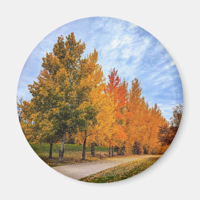 Round Magnet (Front)