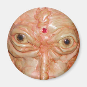 Round Magnet, "Brown Demon Eyes" Magnet