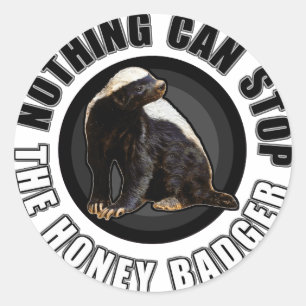 Round Nothing Can STOP the Honey Badger Design Classic Round Sticker