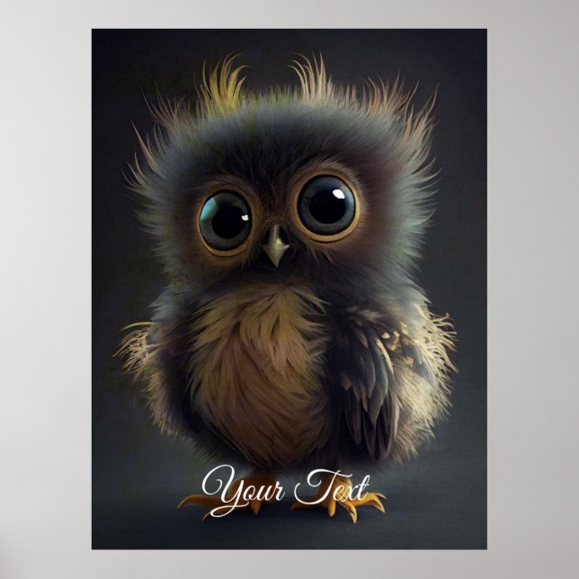 Round Owlet.  Poster (Front)