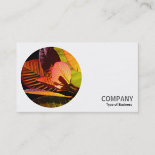 Round Photo - Colourful Leaves Business Card