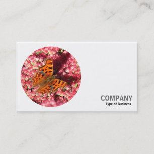 Round Photo - Comma Butterfly on Sedum Business Card