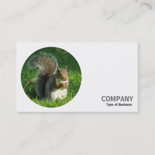 Round Photo - Grey Squirrel 02 Business Card