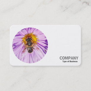 Round Photo - Honey Bee on a Michaelmas Daisy Business Card