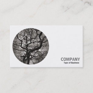 Round Photo - Japanese Maple Tree Business Card