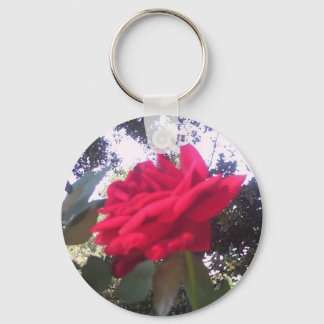 Round Photo Key Chain