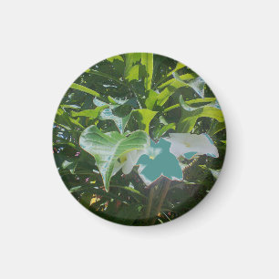 Round photo maget magnet