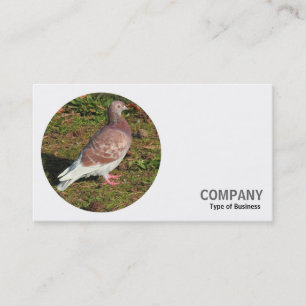 Round Photo - Red Pigeon Business Card