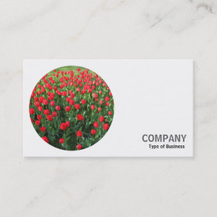 Round Photo - Red Tulips 02 Business Card