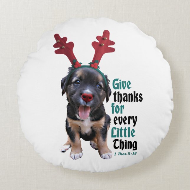 Round Pillow (Front)