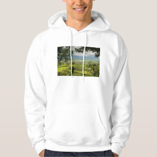 Round Pyramids Ruins, Sayulita, Nayarit, Mexico Hoodie