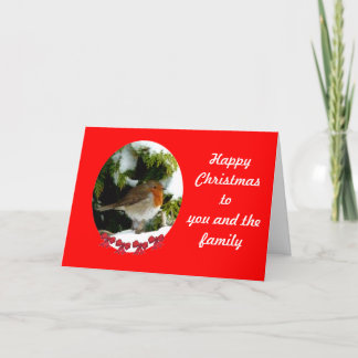 Round Robin Christmas card - customise