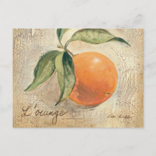 Round Shiny Orange Fruit Postcard