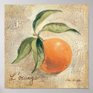 Round Shiny Orange Fruit Poster