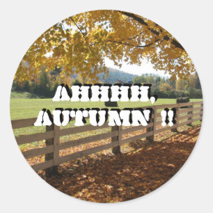 Round Stickers