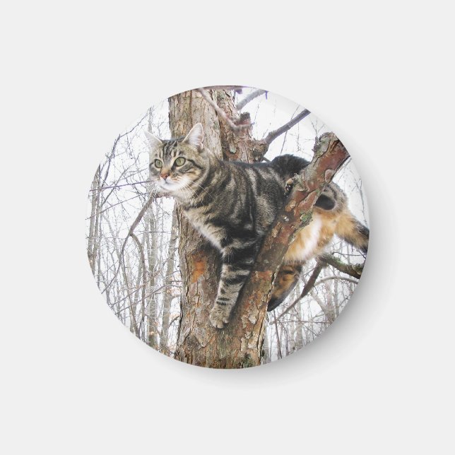 Round Tabby Cat Magnet (Front)