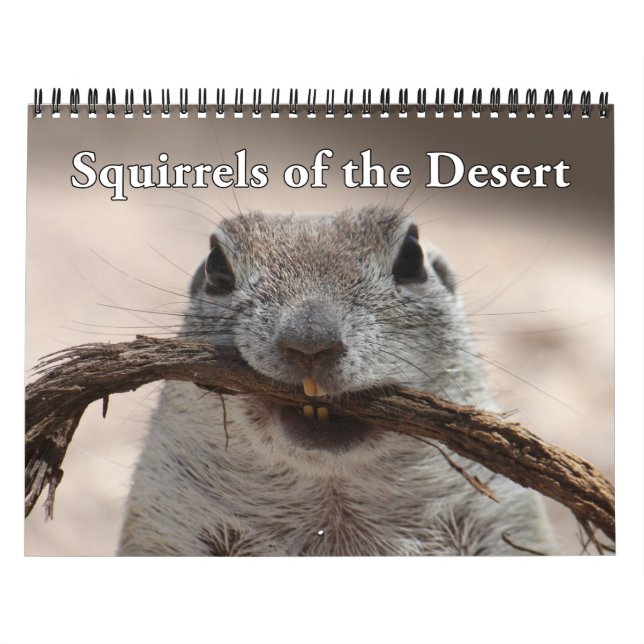 Round Tailed Ground Squirrels Calendar (Cover)