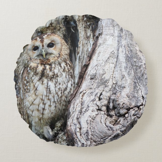 Round Throw Pillow (16") (Front)