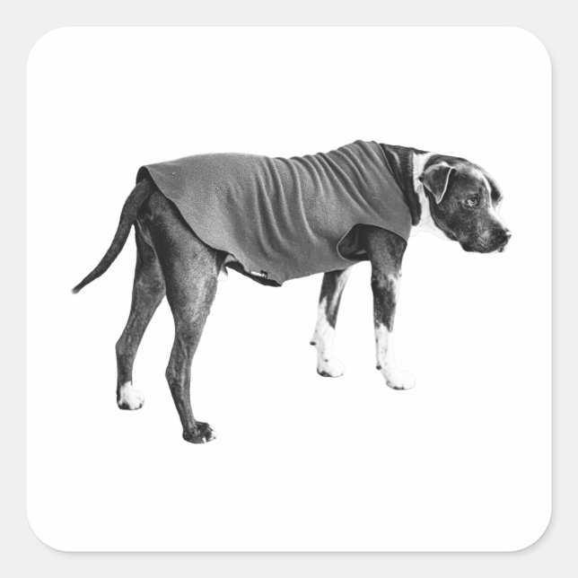 Round Vest, Friendly Turn Square Sticker (Front)