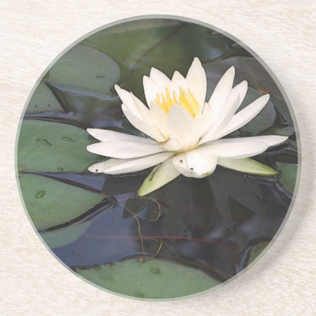 round waterlily sandstone coaster (Front)
