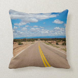 Route 40 Argentina Cushion