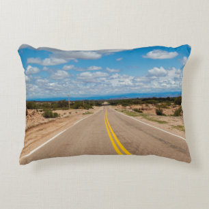 Route 40 Argentina Decorative Cushion