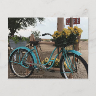Route 66 | Bicycle & Sunflowers | Adrian, Texas Postcard