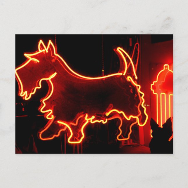 Route 66 neon sign postcard (Front)