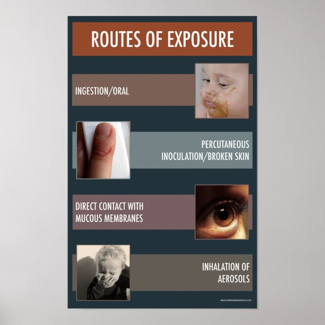 Route of Exposure Safety Informational Poster (Front)