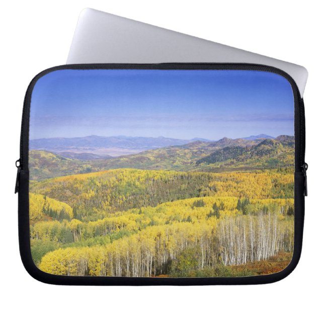 Routt National Forest in Autumn colour, near Laptop Sleeve (Front)