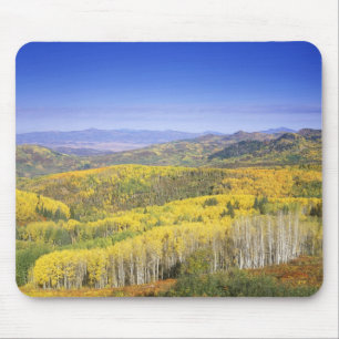 Routt National Forest in Autumn colour, near Mouse Pad