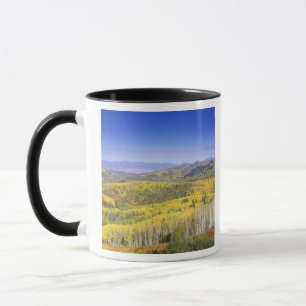 Routt National Forest in Autumn colour, near Mug