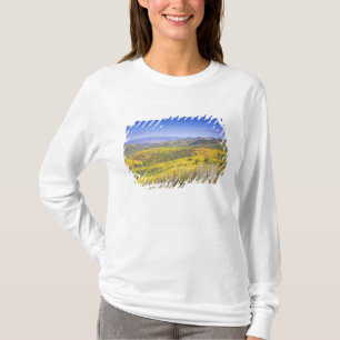 Routt National Forest in Autumn colour, near T-Shirt