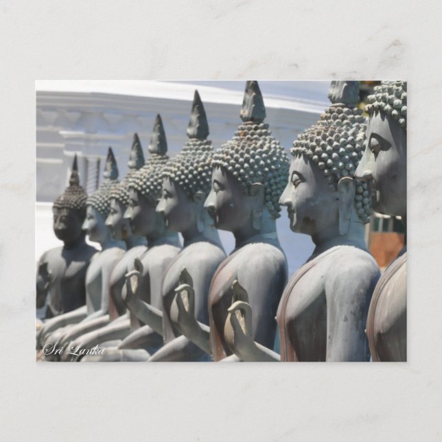 Row of Buddha sculptures Postcard (Front)