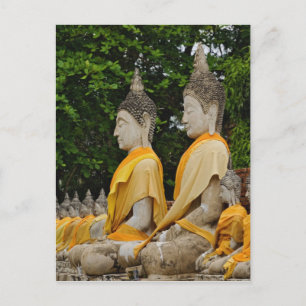 Row of Buddha statues, Wat Yai Chaya Mongkol Postcard
