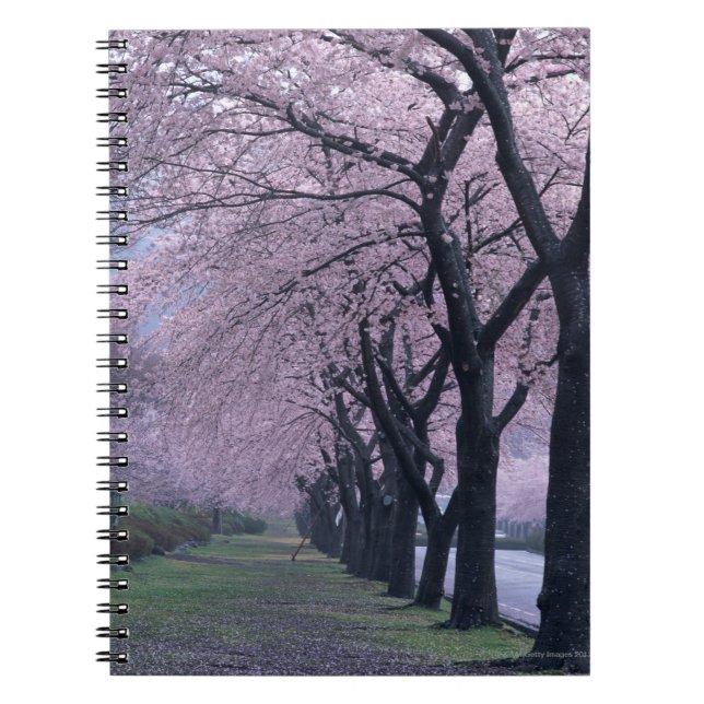 Row of cherryblossom trees notebook (Front)