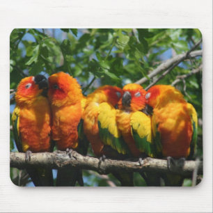 Row of Cute Little Parrots Snuggling Mouse Pad