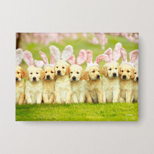 Row of Puppy Bunnies