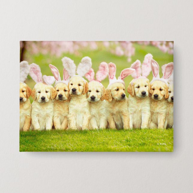 Row of Puppy Bunnies (Front)
