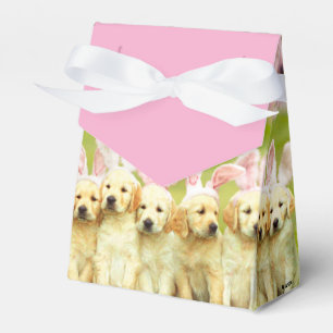 Row of Puppy Bunnies Favour Box