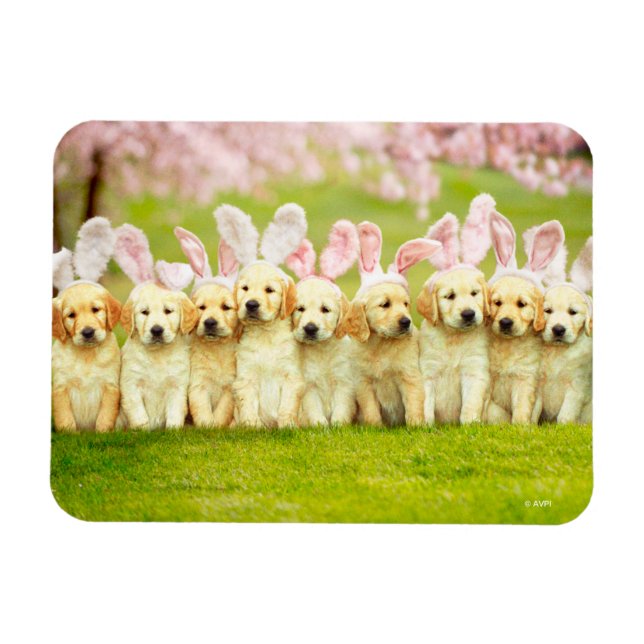 Row of Puppy Bunnies Magnet (Horizontal)