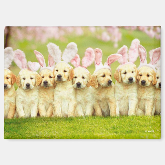 Row of Puppy Bunnies Magnet (Front)