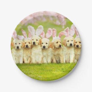 Row of Puppy Bunnies Paper Plate